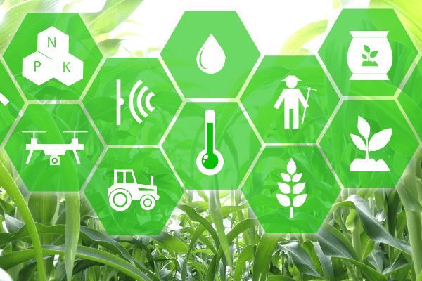 Artificial intelligence in Agriculture